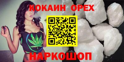 стафф Шелехов