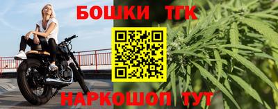 стафф Шелехов