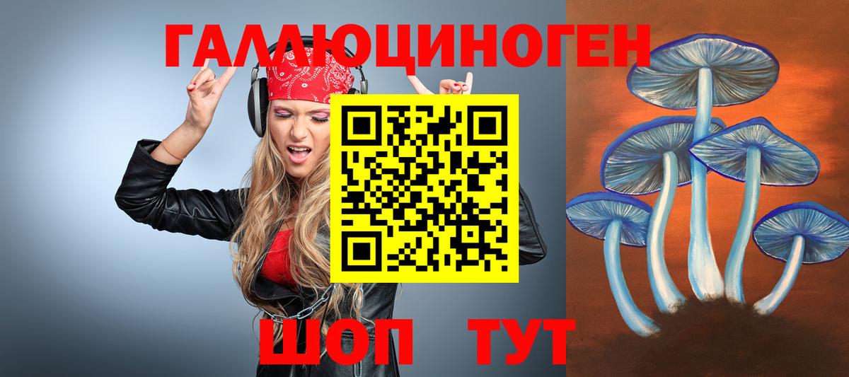 Псилоцибиновые грибы мицелий Приморско-Ахтарск