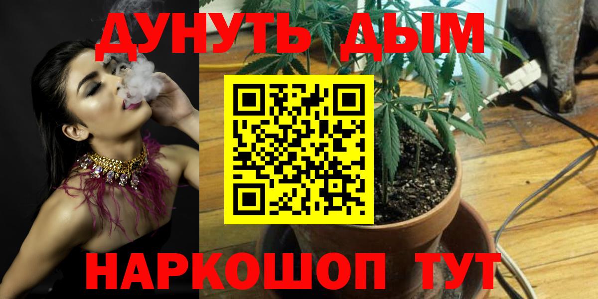 Конопля White Widow  Шишки марихуана конопля  Приморско-Ахтарск  Вход с VPN  Каннабис тримм 
